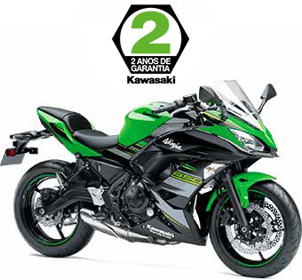 Ninja 650 2020 Kawasaki Racing Team