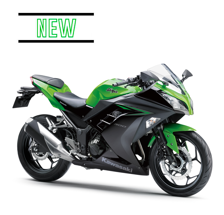 Ninja 300 2023