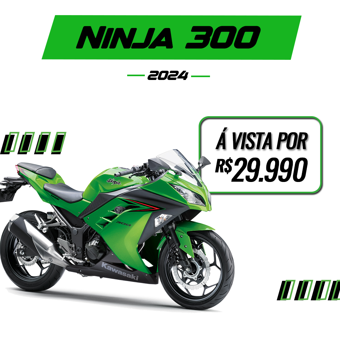 Ninja 300 2024