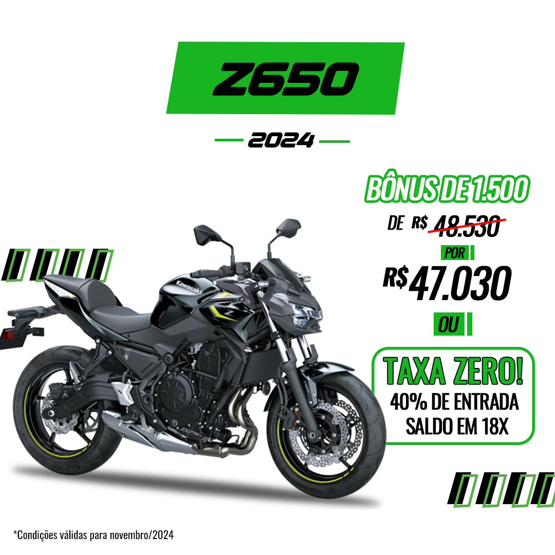 Z650 2024