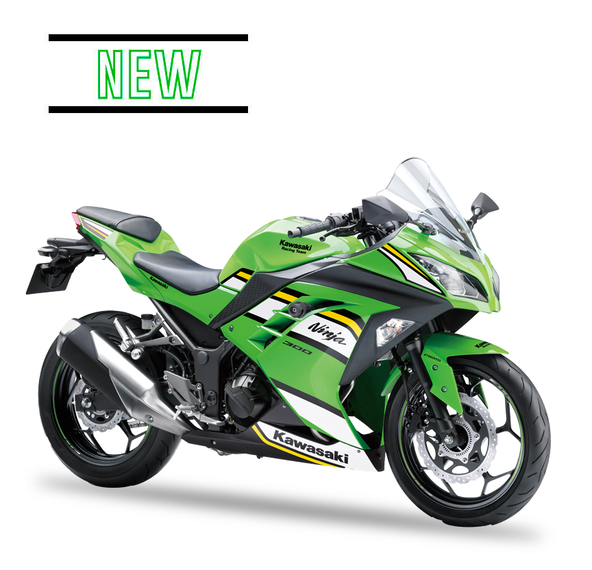 Ninja 300 2025