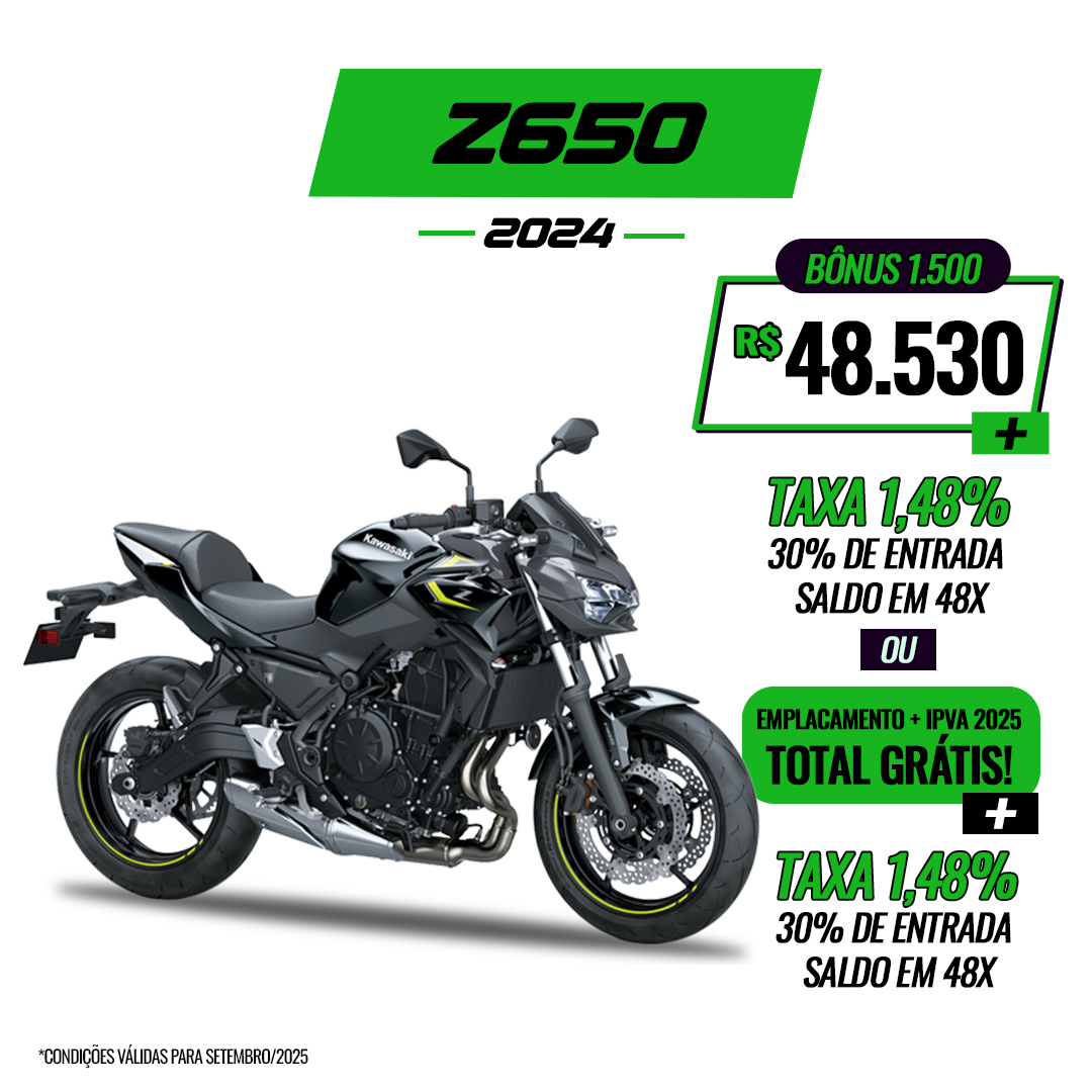 Z650 2024