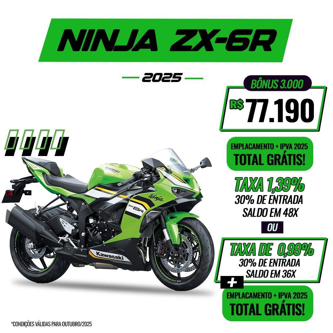NINJA ZX-6R KRT - 2025