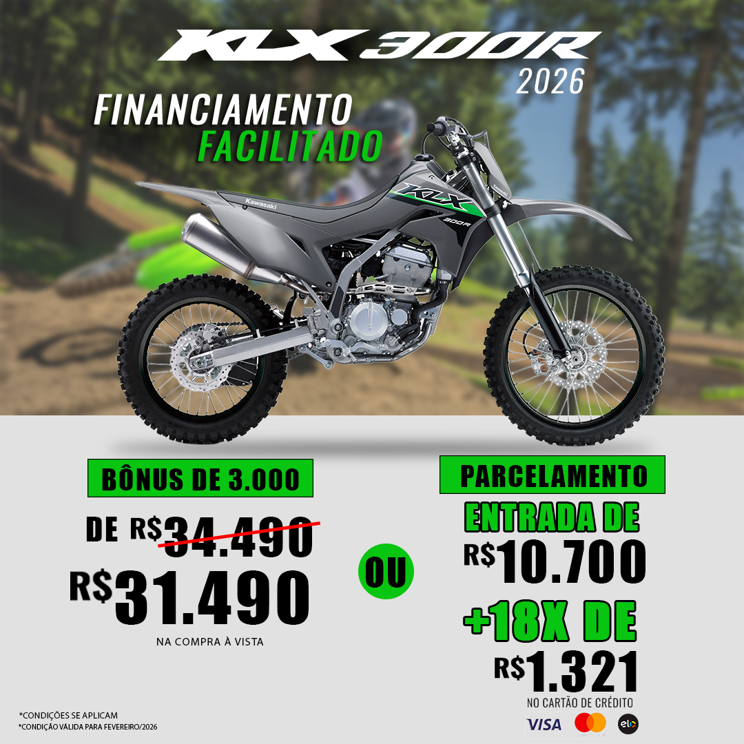 KLX300R Cinza - 2026