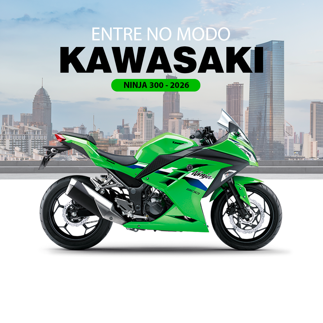 Ninja 300 2026