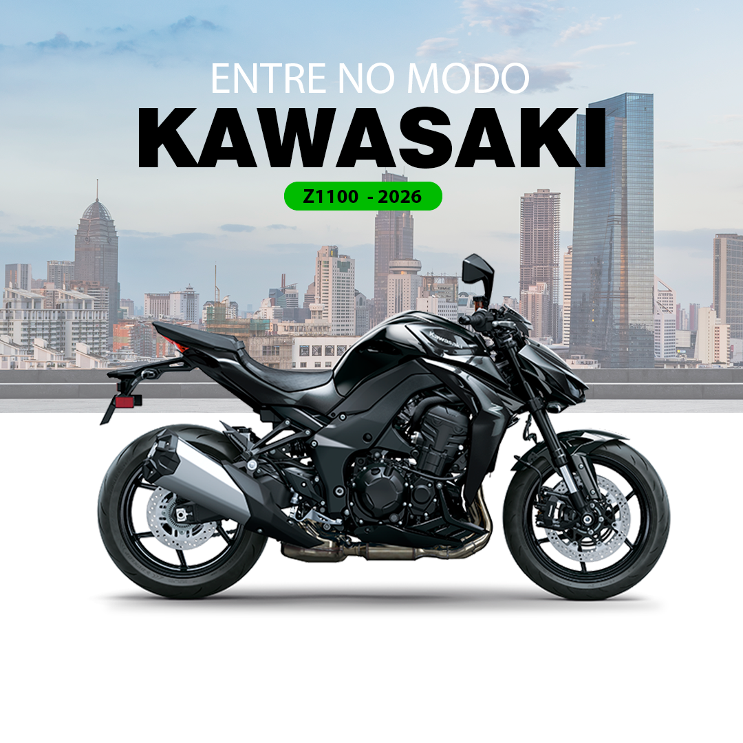 Z1100