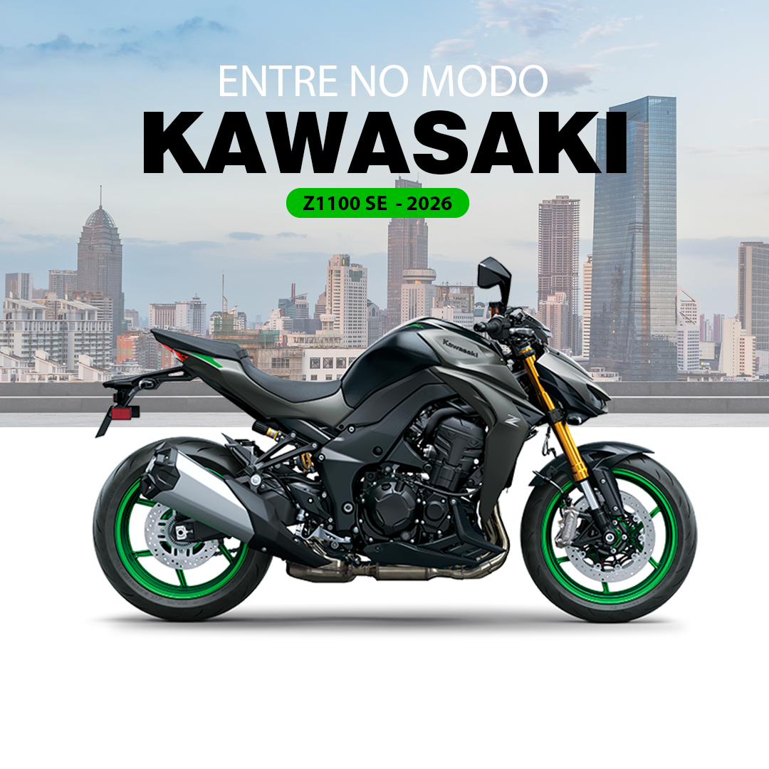 Z1100 SE