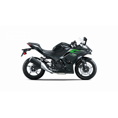 Ninja 500 - 2026